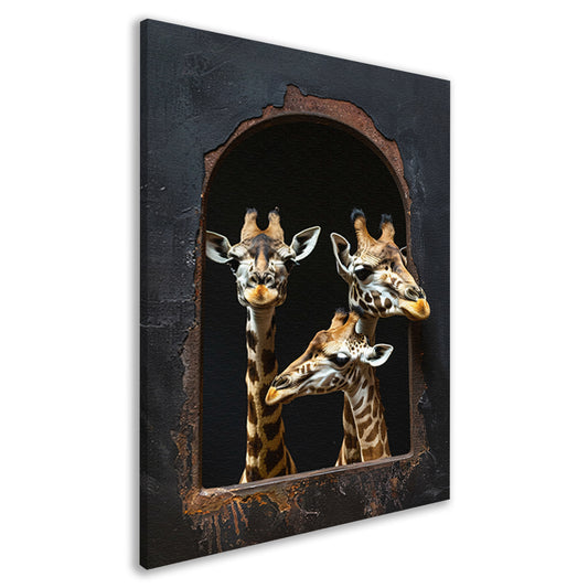 Drie Giraffen kijken door een Raam canvas