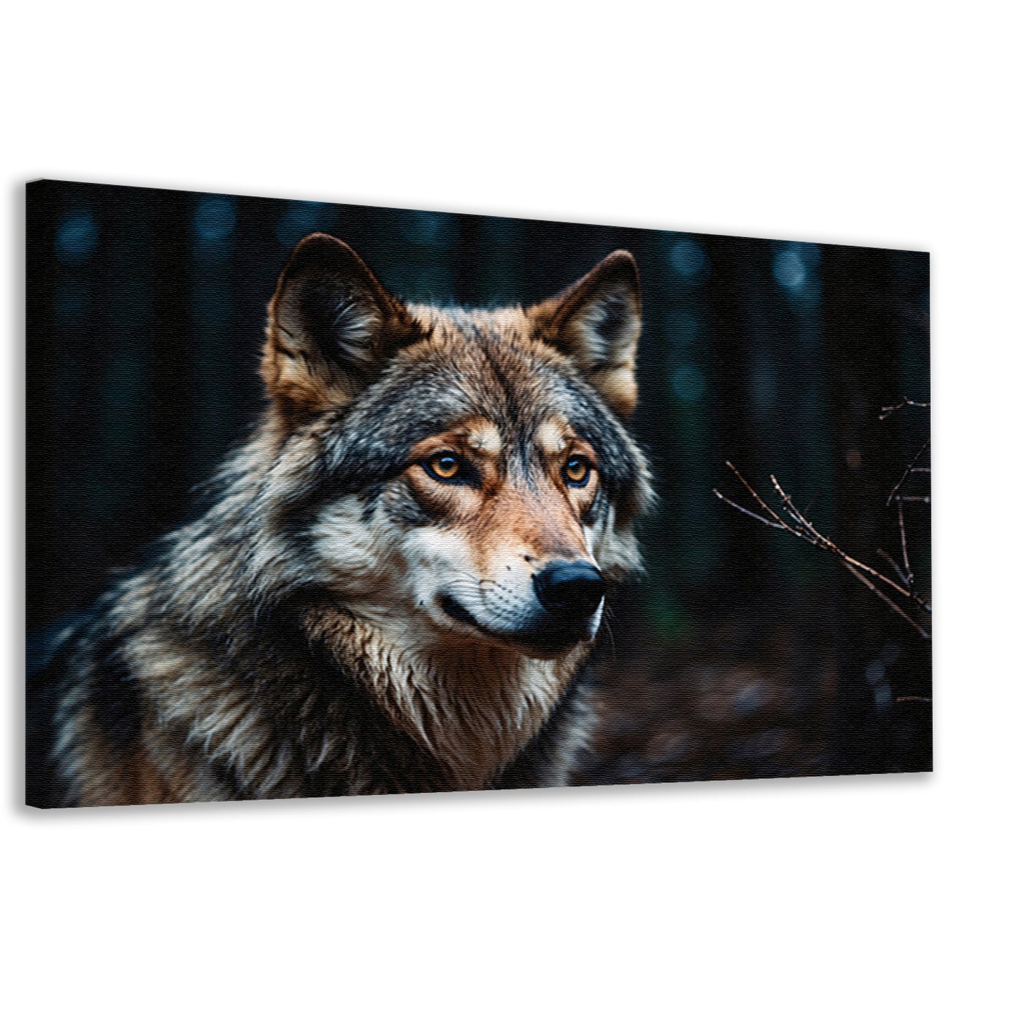 Indrukwekkende wolf in donker bos canvas