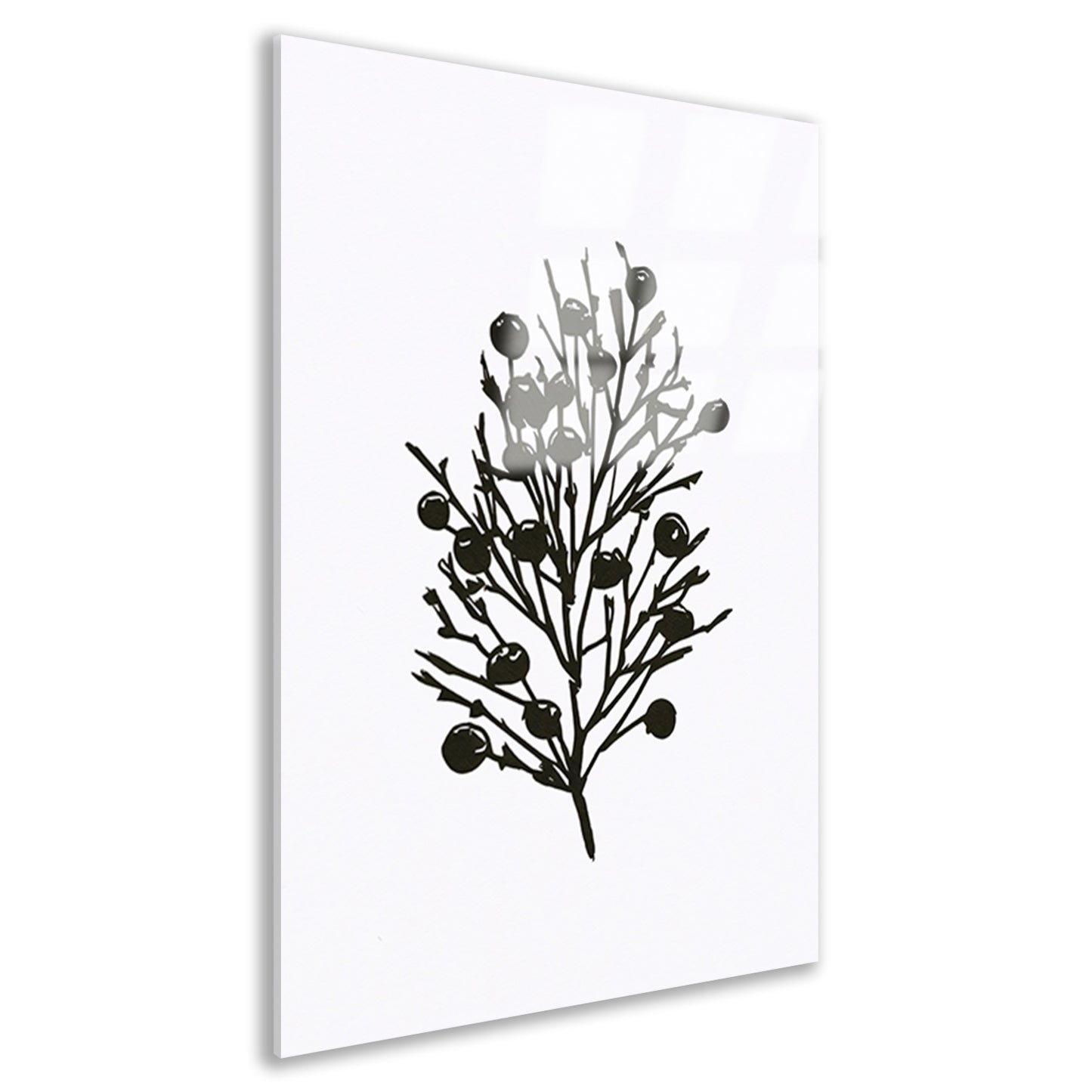 Abstracte zwart-witte natuur silhouetten acrylglas