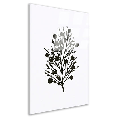 Abstracte zwart-witte natuur silhouetten acrylglas