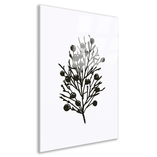Abstracte zwart-witte natuur silhouetten acrylglas