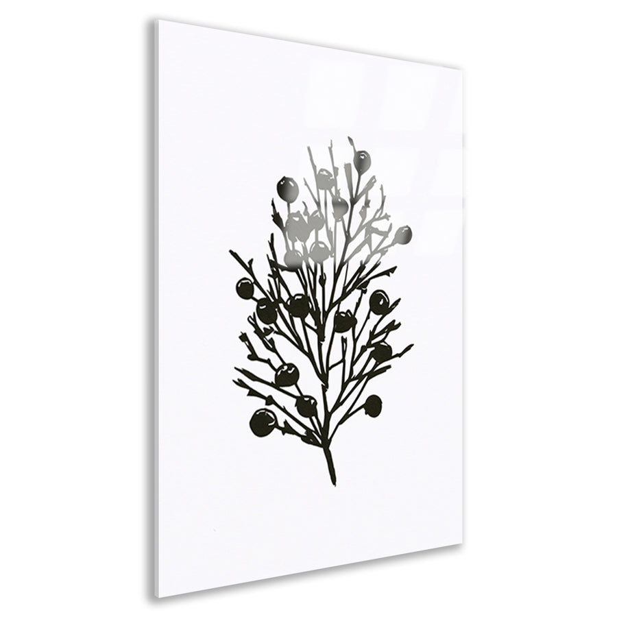 Abstracte zwart-witte natuur silhouetten acrylglas
