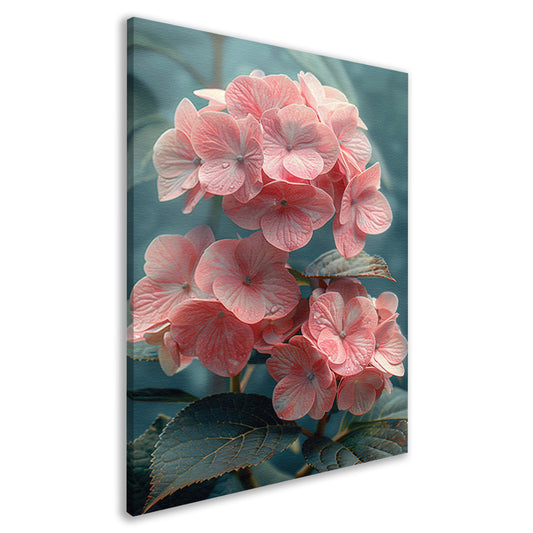 Close-up van Roze Hortensia met Bladeren canvas