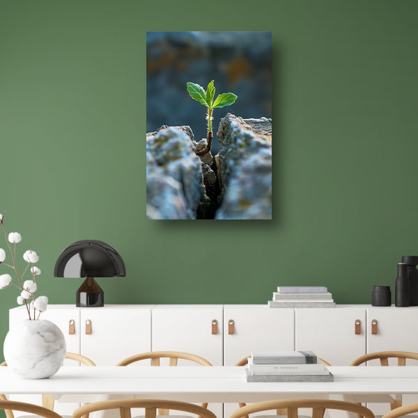 Jonge Plant Groeit Uit Steen acrylglas