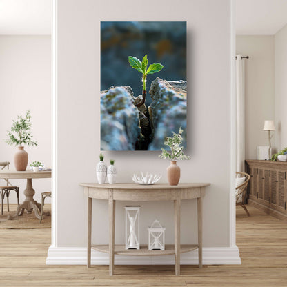 Jonge Plant Groeit Uit Steen canvas
