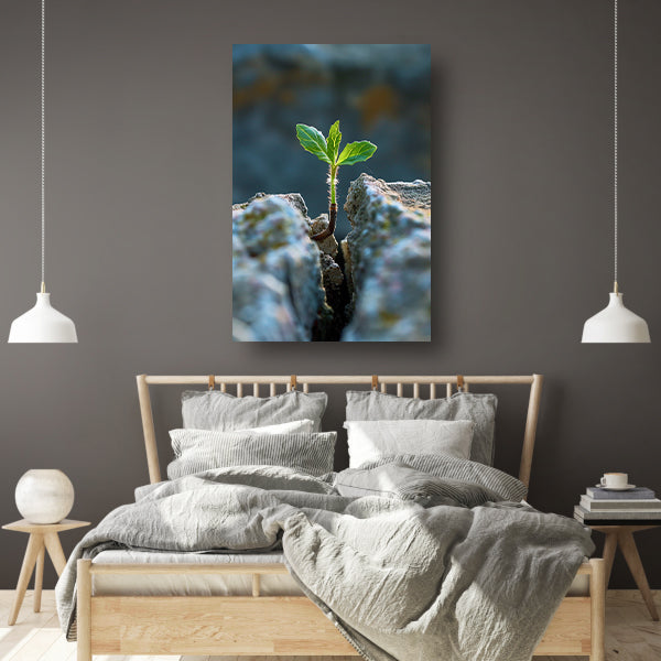 Jonge Plant Groeit Uit Steen canvas