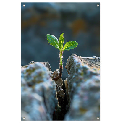 Jonge Plant Groeit Uit Steen tuinposter