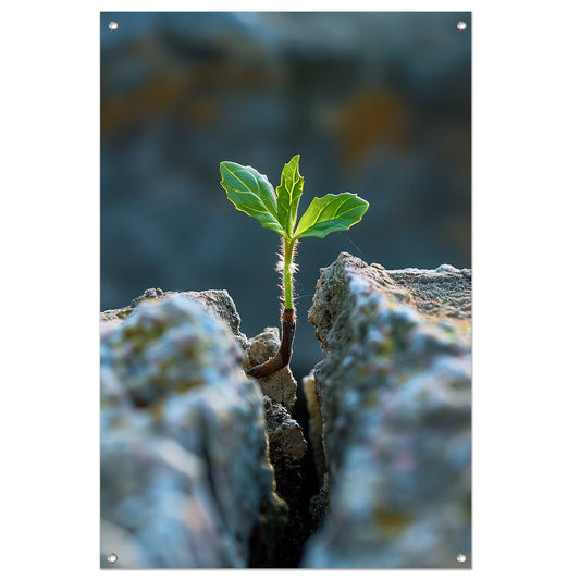 Jonge Plant Groeit Uit Steen tuinposter