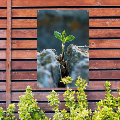 Jonge Plant Groeit Uit Steen tuinposter