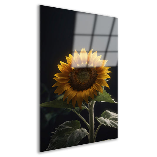 Solitaire zonnebloem in zachte verlichting acrylglas