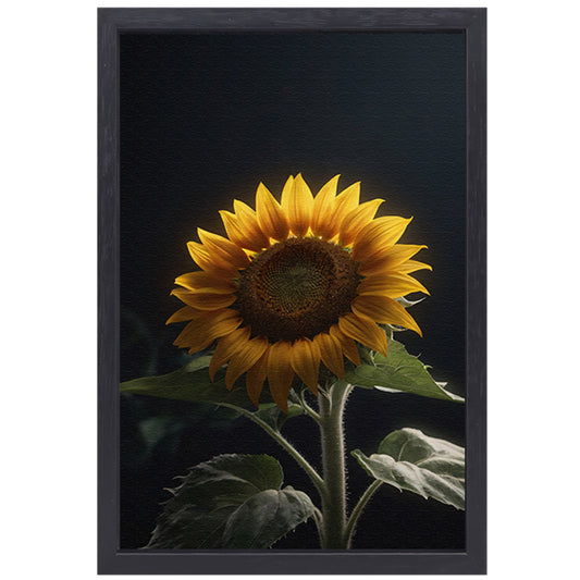 Solitaire zonnebloem in zachte verlichting canvas met baklijst