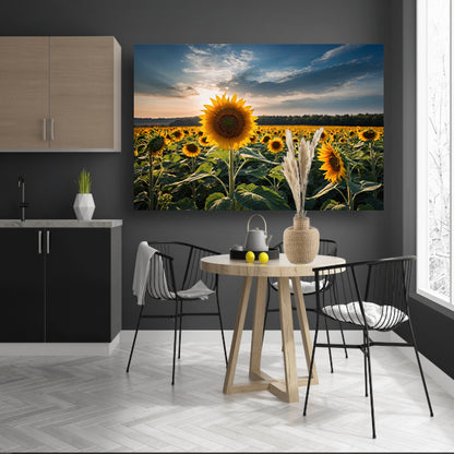 Veld vol zonnebloemen bij zonsondergang poster