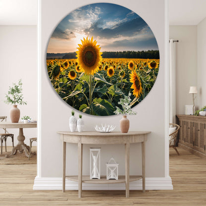 Veld vol zonnebloemen bij zonsondergang forex muurcirkel