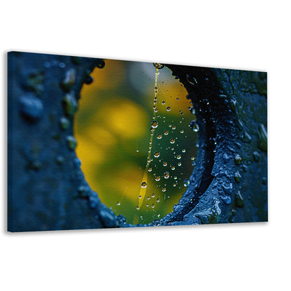 Spinnenweb met dauwdruppels in de ochtendzon canvas