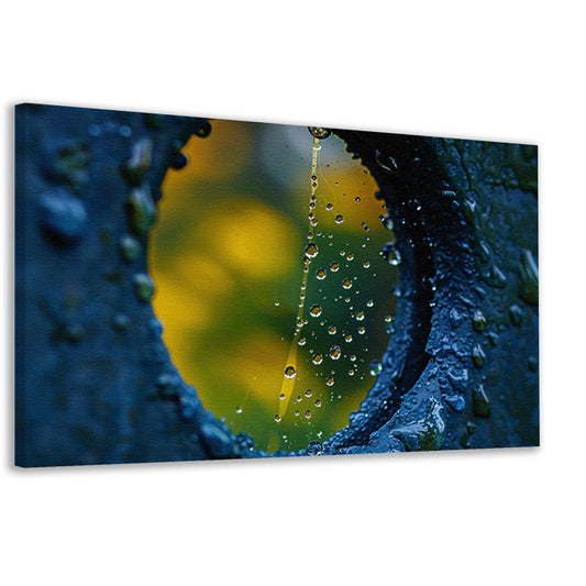 Spinnenweb met dauwdruppels in de ochtendzon canvas