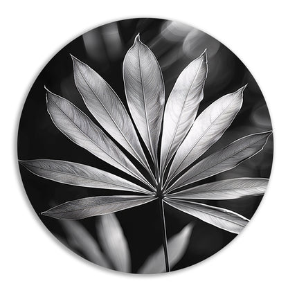 Zwart-Wit Minimalistisch Blad in Licht aluminium muurcirkel