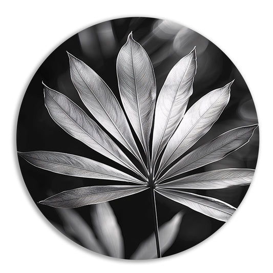 Zwart-Wit Minimalistisch Blad in Licht aluminium muurcirkel
