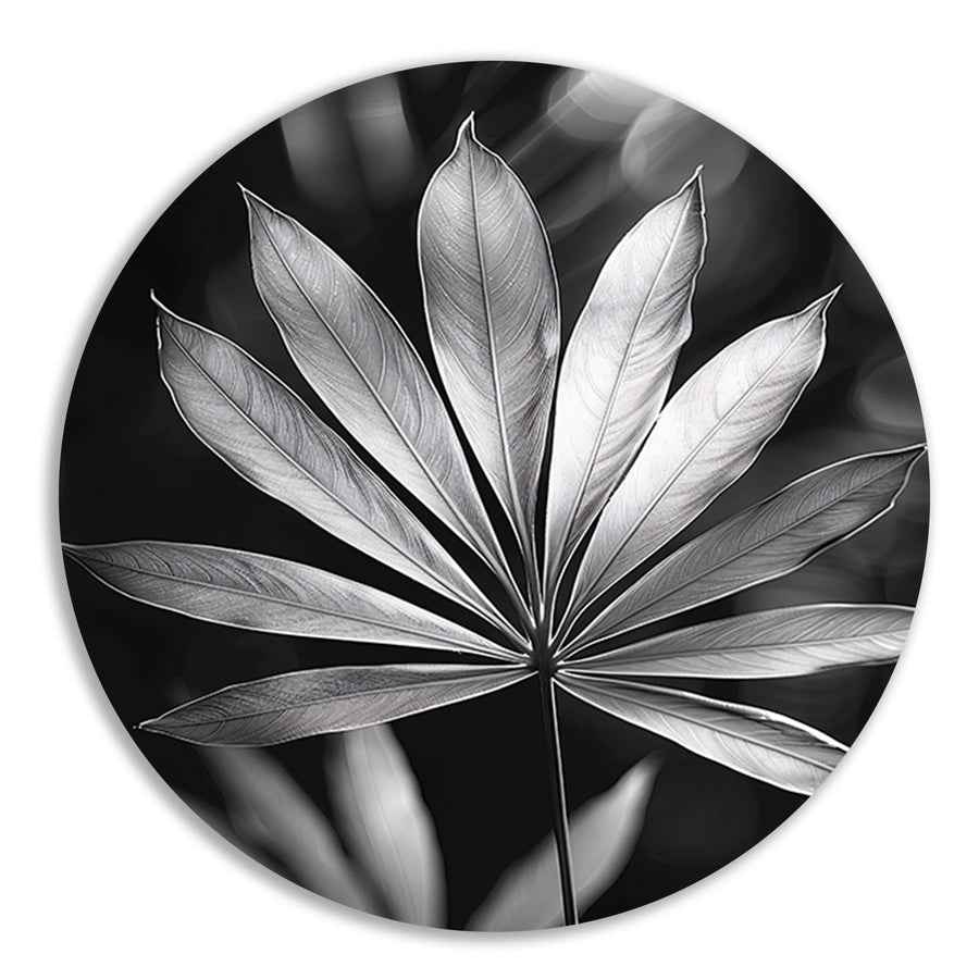 Zwart-Wit Minimalistisch Blad in Licht forex muurcirkel