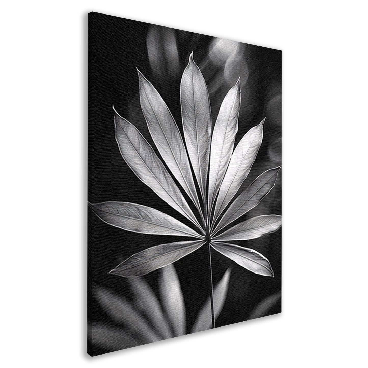 Zwart-Wit Minimalistisch Blad in Licht canvas