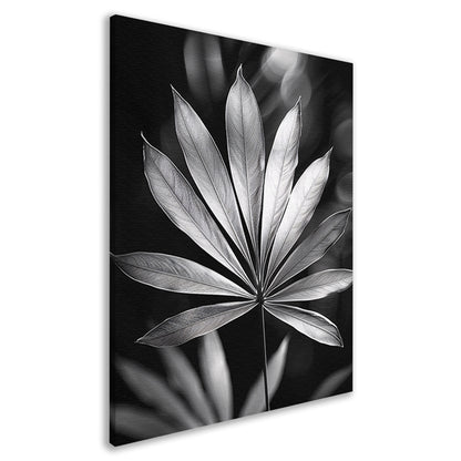 Zwart-Wit Minimalistisch Blad in Licht canvas