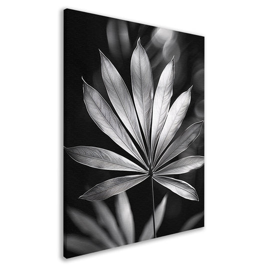 Zwart-Wit Minimalistisch Blad in Licht canvas
