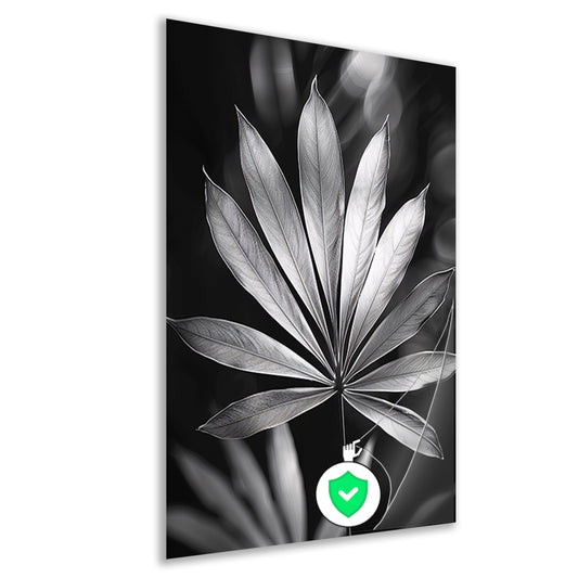 Zwart-Wit Minimalistisch Blad in Licht poster