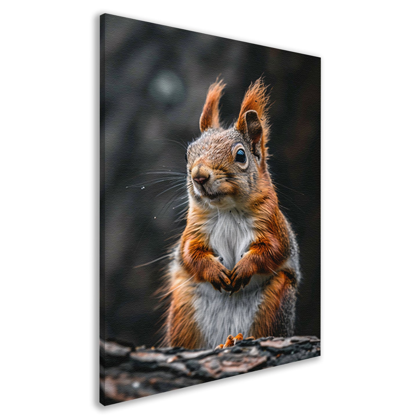 Close-up van Nieuwsgierige Eekhoorn in Bos canvas