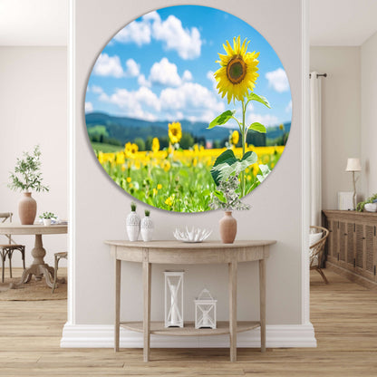 Zonnige dag met bloeiende zonnebloemen aluminium muurcirkel