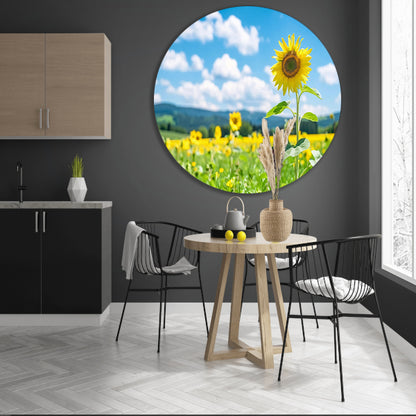 Zonnige dag met bloeiende zonnebloemen aluminium muurcirkel