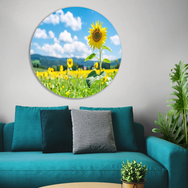 Zonnige dag met bloeiende zonnebloemen aluminium muurcirkel