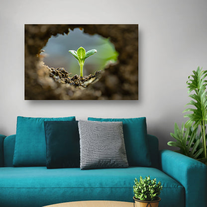 Jonge plant ontspringt uit aarde acrylglas