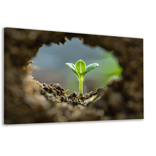 Jonge plant ontspringt uit aarde canvas