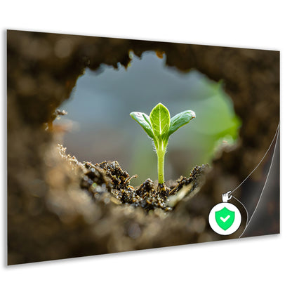 Jonge plant ontspringt uit aarde poster