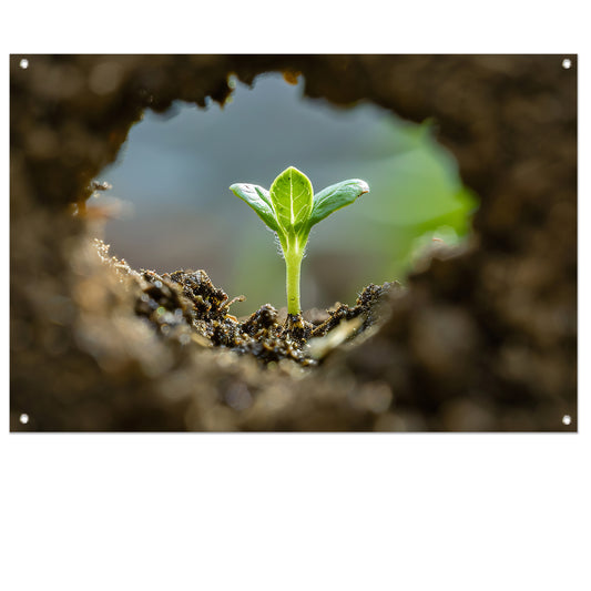 Jonge plant ontspringt uit aarde tuinposter