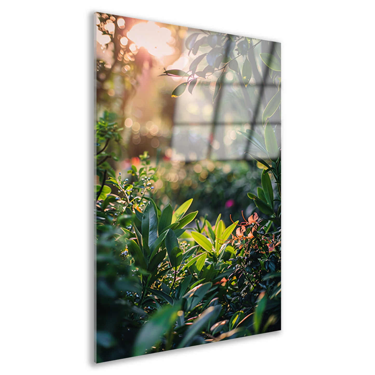 Zonnestralen door groene planten acrylglas