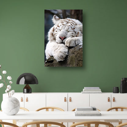 Slapende Witte Tijger op Steen canvas