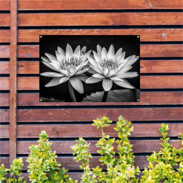 Stilleven met waterlelies tuinposter