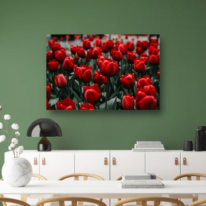Heldere rode tulpen met groene bladerenposter