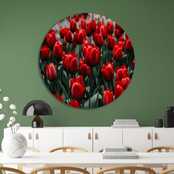 Heldere rode tulpen met groene bladeren forex muurcirkel