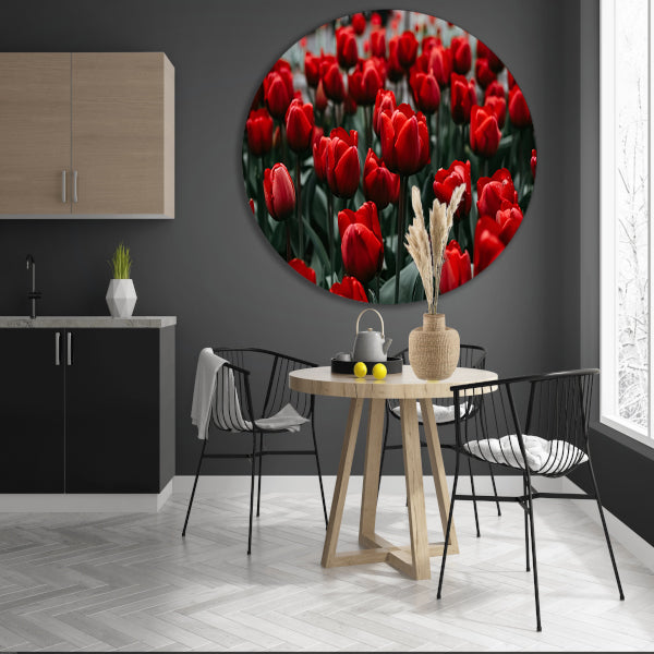 Heldere rode tulpen met groene bladeren forex muurcirkel