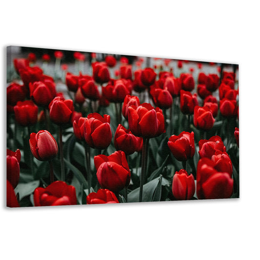 Heldere rode tulpen met groene bladeren canvas