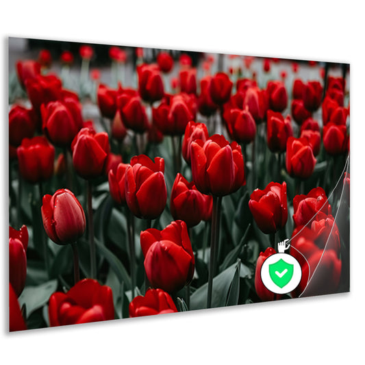 Heldere rode tulpen met groene bladerenposter