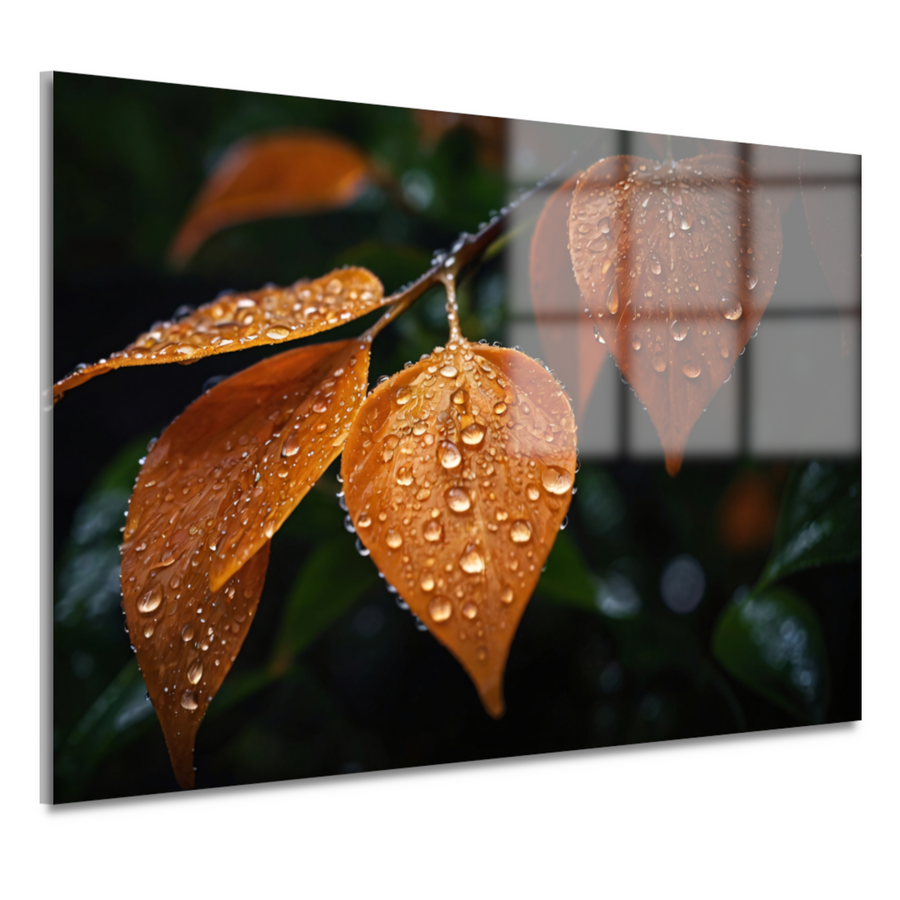 Dauwdruppels op Oranje Zomerbladeren acrylglas