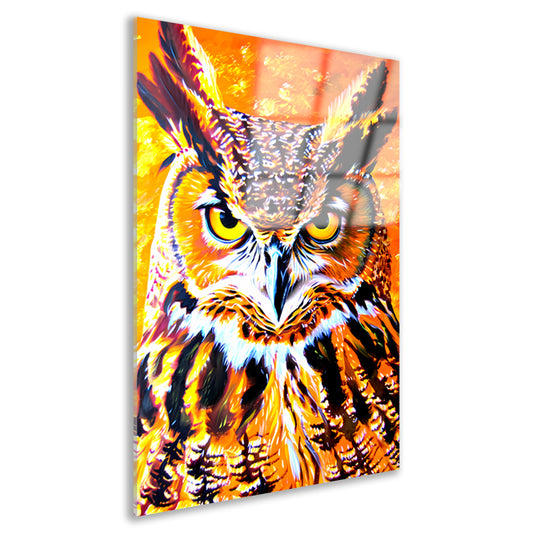 Psychedelische kleurrijke uil schilderij acrylglas