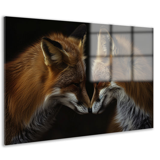 Twee vossen in een donkere omgeving acrylglas