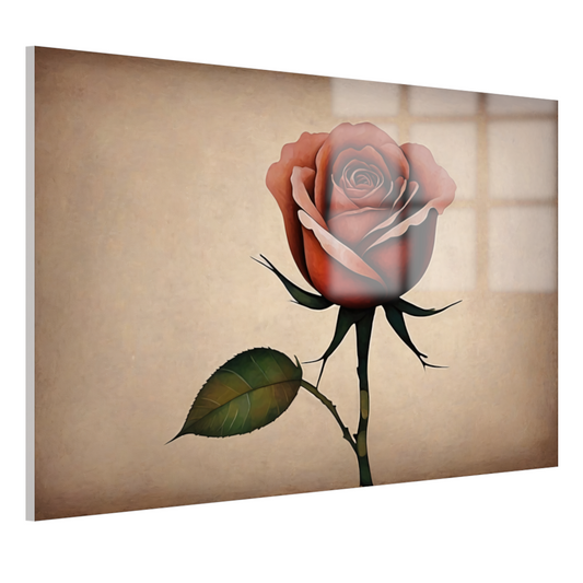 Elegante Solitaire Vintage Roos Illustratie acrylglas