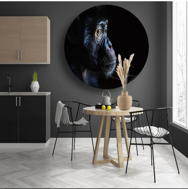 De Stille Getuige - Aap in het Donker forex muurcirkel