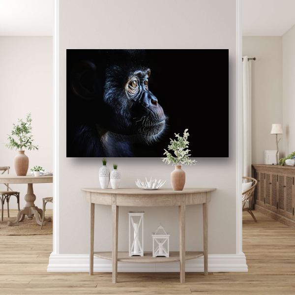 De Stille Getuige - Aap in het Donker canvas