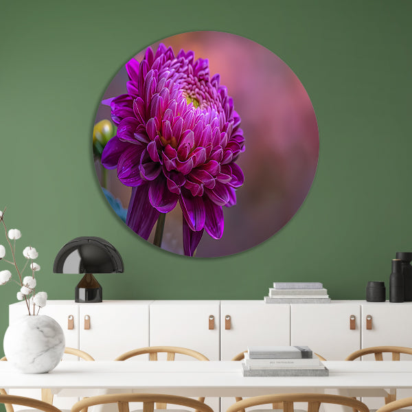 Paarse bloem close-up met zachte achtergrond aluminium muurcirkel