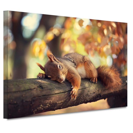 Eekhoorn geniet van herfstige rust canvas
